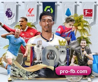 FB体育 APP | fbsport